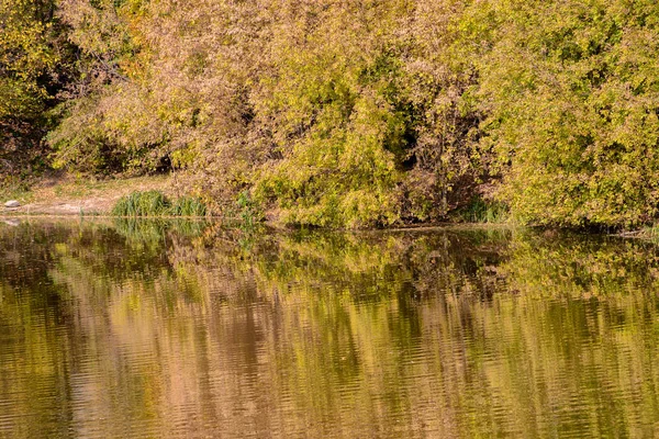 Floresta de outono e lago na temporada de outono . — Fotografia de Stock