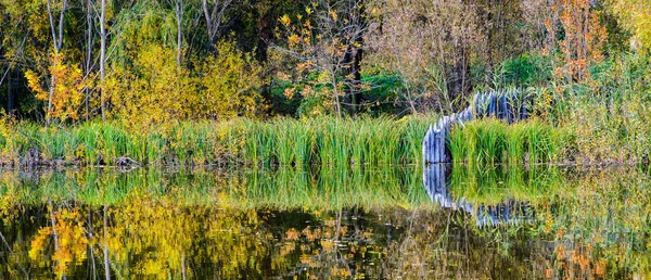 Autumn park with lake. — Stock Photo, Image