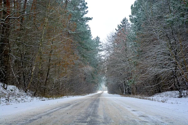 Los árboles en invierno en una helada blanca . — Foto de Stock