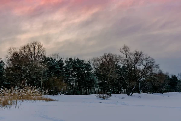 Paisaje con puesta de sol de invierno —  Fotos de Stock