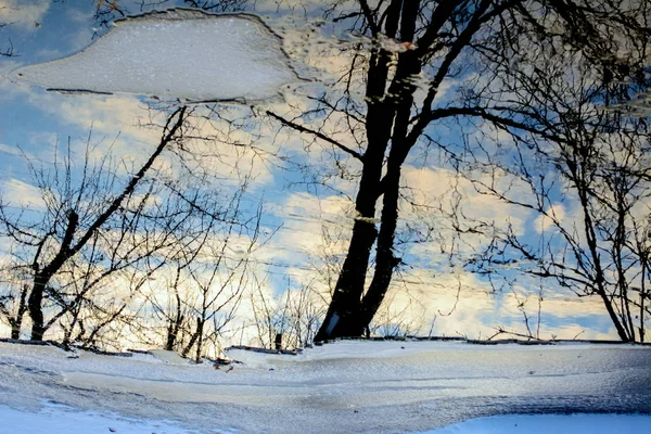 Fondo de invierno de hermoso hielo claro en un río helado, nieve y reflejos de los árboles — Foto de Stock