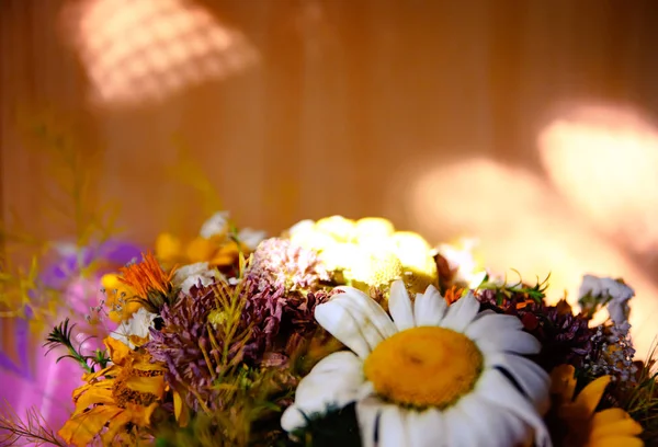 Букет летних цветов на коричневом фоне — стоковое фото