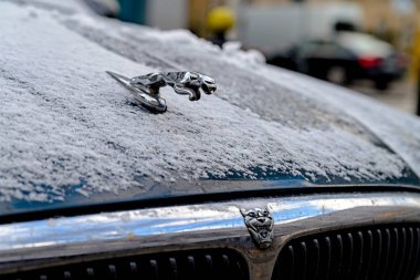 Varşova, Polonya - 29 Kasım 2016: Jaguar amblemi ve logosu arabanın kaputu üzerine. Arabayı karla kaplı.