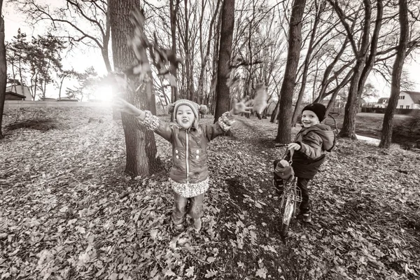 Menina alegre joga folhas na floresta — Fotografia de Stock