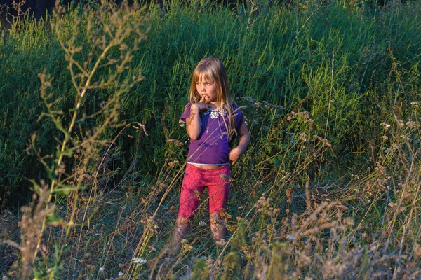 背の高い草の小さな女の子 — ストック写真