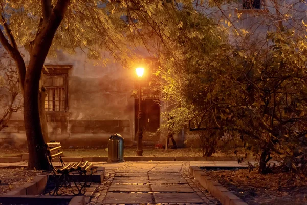 Φθινοπωρινό τοπίο νύχτα δρόμο στη βροχή και το λαμπερό του φανάρι. — Φωτογραφία Αρχείου