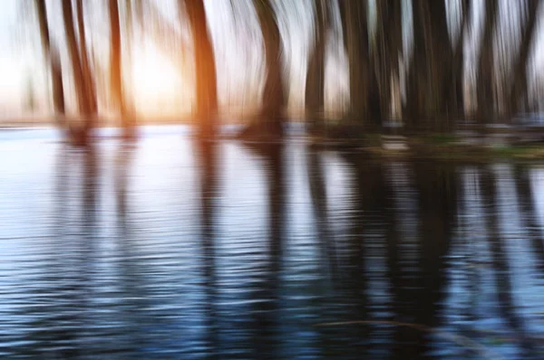 Mystical trees. Landscape with trees, reflecting in the water.Post Processing — Stock Photo, Image