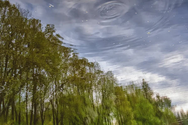Reflection of sky and trees in the water. Background — Stock Photo, Image