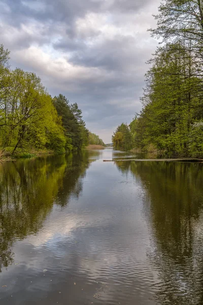 Krajina krásná řeka s odrazy stromů a mraky — Stock fotografie