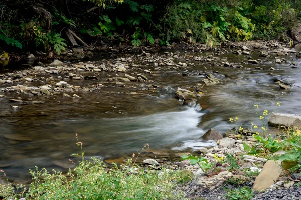 Mountain river with clean cold water and stones — Stock Photo, Image