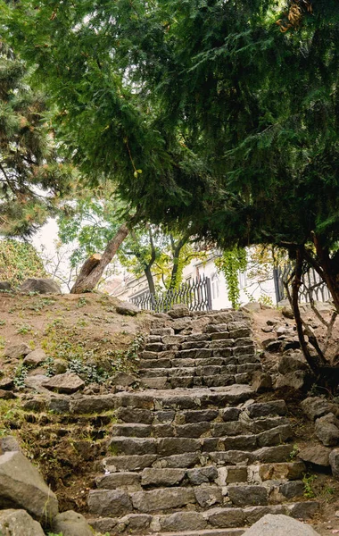 Escalera de piedra en el parque de otoño en Uzhhorod — Foto de Stock