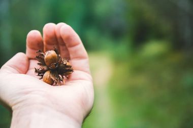 Bir adam bir fındık elinde tutuyor.