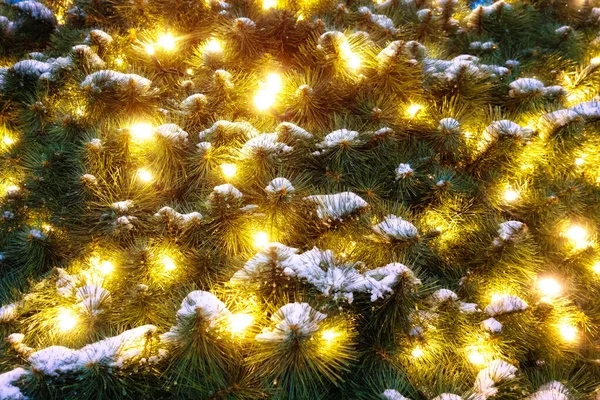 Bright garland lights on the Christmas tree. It is snowing on the branches