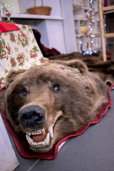Το φίμωτρο της νεκρής αρκούδας κείτεται στο πάτωμα. — Φωτογραφία Αρχείου