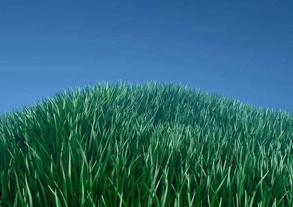 Зеленая Толстая Трава Синем Фоне Рендеринг — стоковое фото