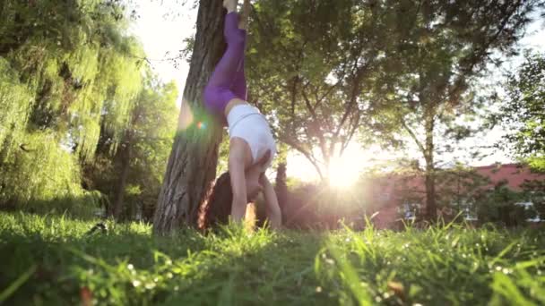 Sporty woman doing yoga exercises with handstand headfirst near the tree. — Stock Video