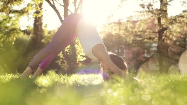 Yoga en pilates oefeningen op het gazon op zonnige ochtend. — Stockvideo