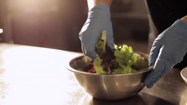 Manos de chef en guantes mezclando lechuga con salsa en tazón de acero . — Vídeos de Stock