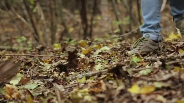Foto close-up dari kaki ibu dan anak berjalan di hutan musim gugur — Stok Video
