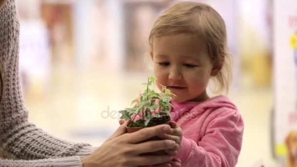 Moeder en haar schattige jonge dochter, een bloemen bij supermarkt selecteren — Stockvideo