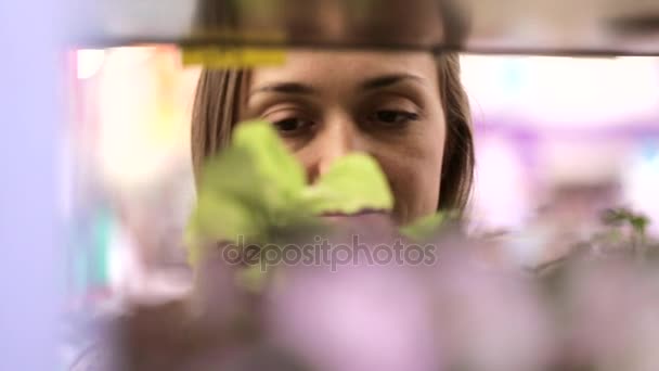 Молодая женщина выбирает цветы в цветочном отделе супермаркета . — стоковое видео