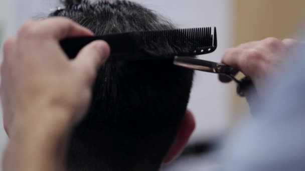 Peluquero haciendo corte de pelo de hombre barbudo atractivo en la barbería . — Vídeos de Stock