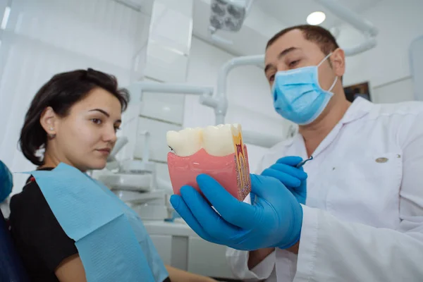 Dentysta z pacjentem. Przedstawiający model zębów dentysta. — Zdjęcie stockowe