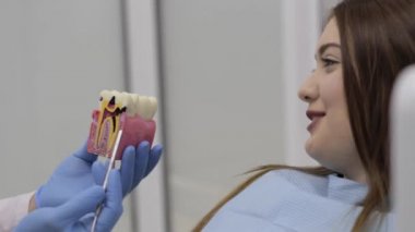 Hasta ile konuşmak ve bir model diş gösteren diş hekimi.