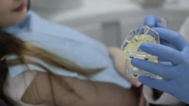 Hasta ile konuşmak ve bir model diş gösteren diş hekimi.