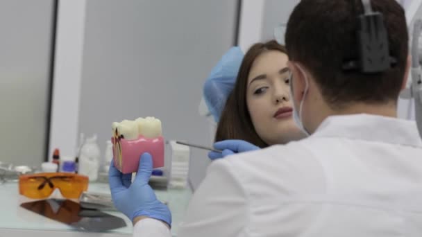 Zubní lékař s pacientem mluvit a ukazovat model zubů.