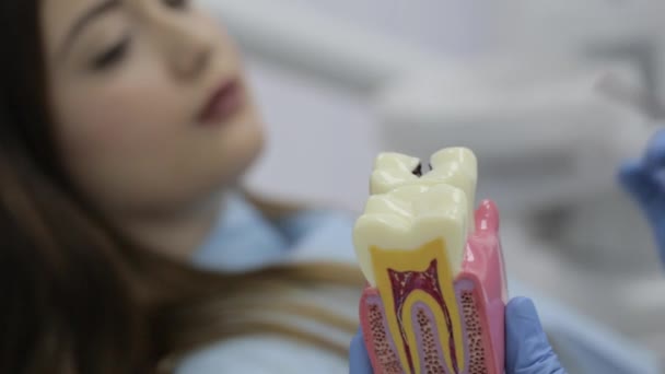 Dentista hablando con el paciente y mostrando un modelo de dientes . — Vídeos de Stock