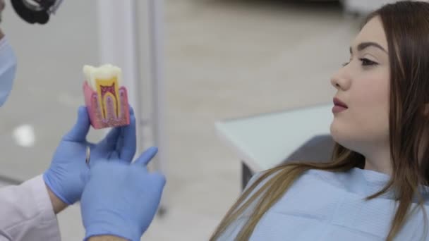 歯科医の患者と話していると、歯のモデルを示す. — ストック動画