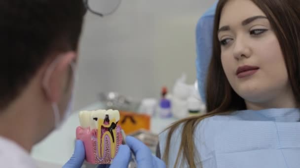 Οδοντίατρος μιλάμε με ασθενή και δείχνει ένα μοντέλο των δοντιών. — Αρχείο Βίντεο