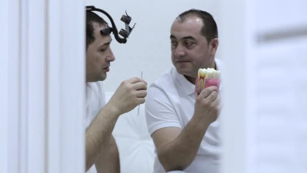 Dos dentistas teniendo una discusión profesional con modelo de dientes — Vídeos de Stock