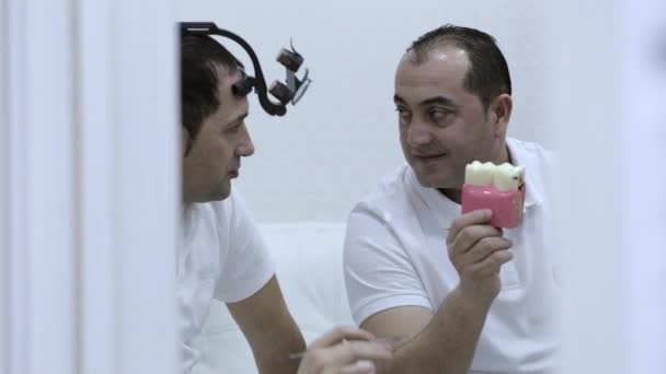 Два стоматолога ведут профессиональную беседу с моделью зубов — стоковое видео