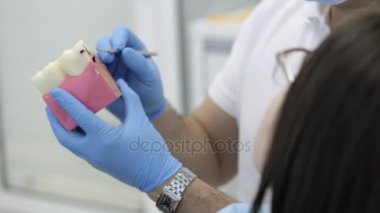 İstişare diş Kliniği. Diş hekimi modeli diş kadın hastaya gösterilen.
