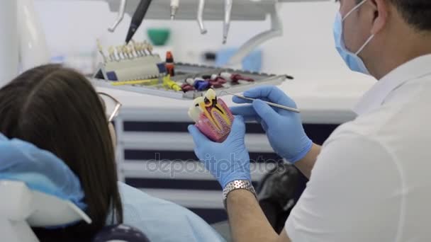 Consulta na clínica dentária. Dentista mostrando dentes modelo para paciente do sexo feminino . — Vídeo de Stock