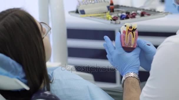 Beratung in der Zahnklinik. Zahnarzt zeigt Patientin Musterzähne. — Stockvideo