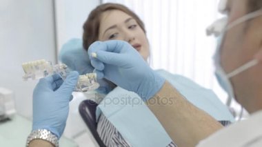 Bayan hasta için çene modeli gösteren diş hekimi