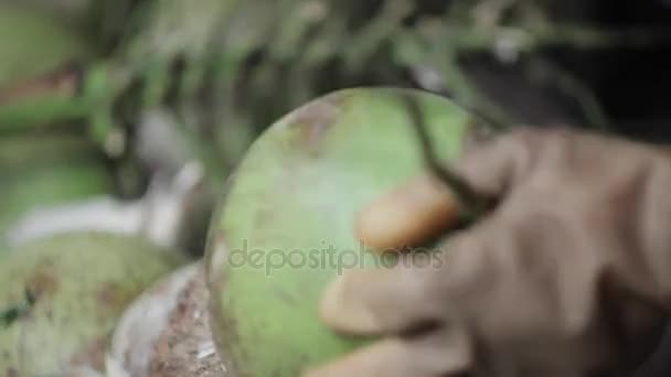 Vendedor callejero abriendo coco con un cuchillo grande . — Vídeo de stock