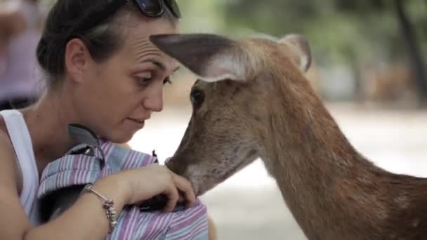 Madre con hija pequeña alimentando a un ciervo . — Vídeos de Stock