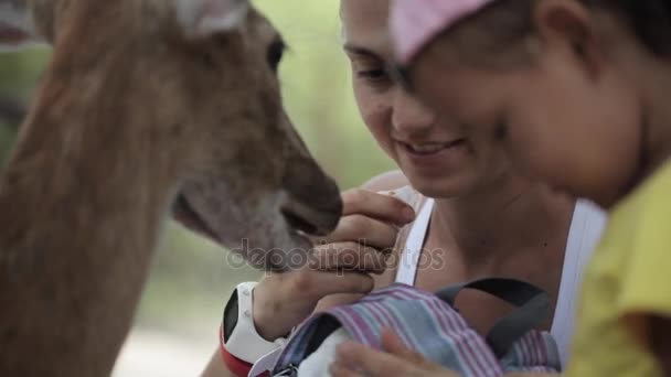 Mutter mit kleiner Tochter füttert ein Reh. — Stockvideo