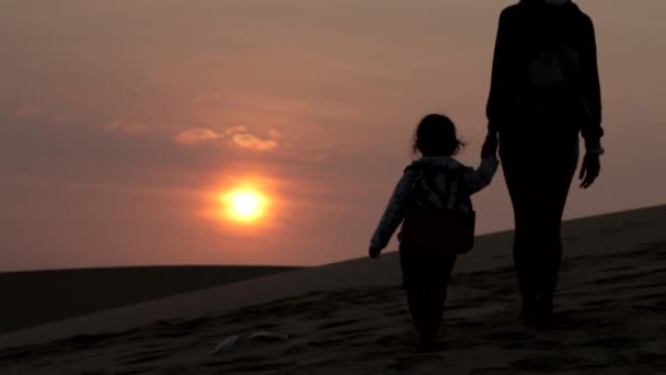Silhouet van een moeder die haar kind baby hand en gaan weg van camera — Stockvideo