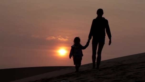 Silhouette della madre che tiene per mano il suo bambino e viene alla fotocamera — Video Stock