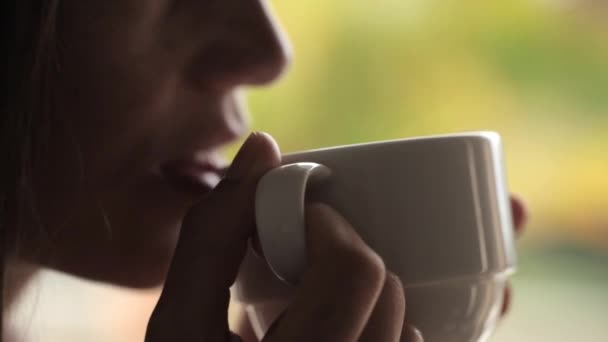 Mujer atractiva joven sentada cerca de la ventana y bebiendo té — Vídeos de Stock