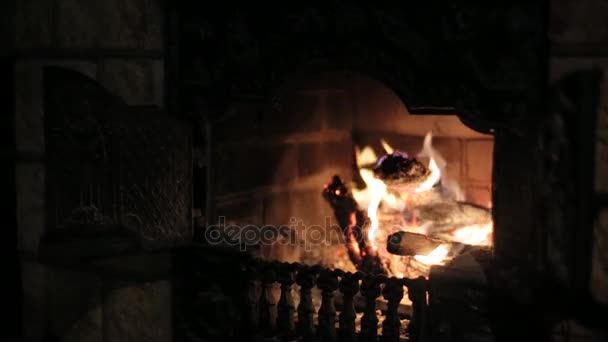 Brennender Kamin sorgt für Gemütlichkeit im Haus — Stockvideo