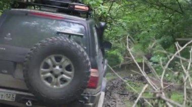 Off road sürüş bir orman yolda.