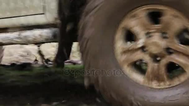 Geländewagen überwinden schwierige schmutzige Geländestrecke bei 4x4-Expedition — Stockvideo