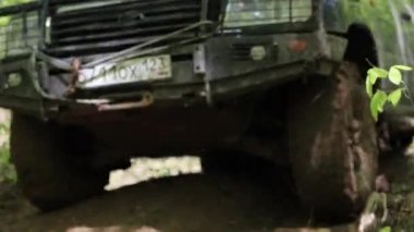 Seferi Suv yavaş yavaş orman gezintisi.