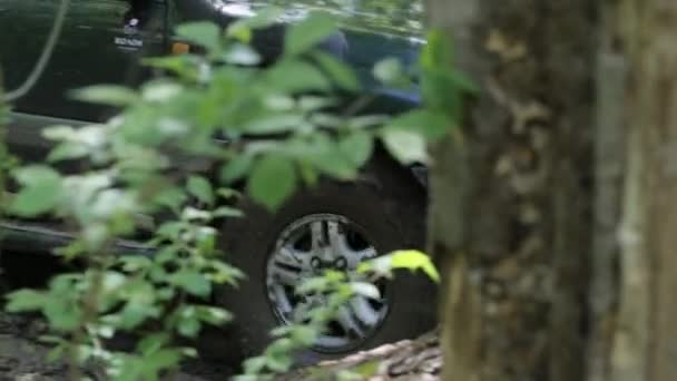 SUV expedicionário lentamente atravessa a floresta . — Vídeo de Stock